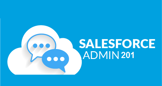 Salesforce Admin 201 Certification Training – Skill Higher