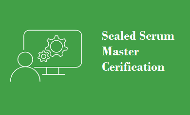 Scaled Scrum Master Certified (SSMC)